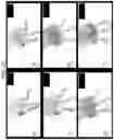 Fig. 18 - NANOCARRIERS AND THEIR PROCESSING FOR DIAGNOSTICS AND THERAPEUTICS