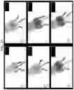 Fig. 19 - NANOCARRIERS AND THEIR PROCESSING FOR DIAGNOSTICS AND THERAPEUTICS