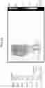 Fig. 21 - NANOCARRIERS AND THEIR PROCESSING FOR DIAGNOSTICS AND THERAPEUTICS