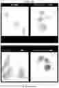 Fig. 25 - NANOCARRIERS AND THEIR PROCESSING FOR DIAGNOSTICS AND THERAPEUTICS