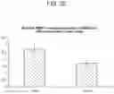 Fig. 28 - NANOCARRIERS AND THEIR PROCESSING FOR DIAGNOSTICS AND THERAPEUTICS