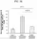 Fig. 32 - NANOCARRIERS AND THEIR PROCESSING FOR DIAGNOSTICS AND THERAPEUTICS