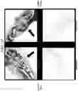 Fig. 33 - NANOCARRIERS AND THEIR PROCESSING FOR DIAGNOSTICS AND THERAPEUTICS