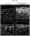 Fig. 39 - NANOCARRIERS AND THEIR PROCESSING FOR DIAGNOSTICS AND THERAPEUTICS