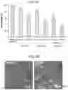 Fig. 42 - NANOCARRIERS AND THEIR PROCESSING FOR DIAGNOSTICS AND THERAPEUTICS