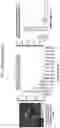Fig. 47 - NANOCARRIERS AND THEIR PROCESSING FOR DIAGNOSTICS AND THERAPEUTICS