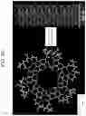 Fig. 58 - NANOCARRIERS AND THEIR PROCESSING FOR DIAGNOSTICS AND THERAPEUTICS