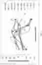 Fig. 05 - METHOD OF TREATING NEURODEGENERATIVE DISORDERS BY RESCUING ALPHA-SYNUCLEIN TOXICITY