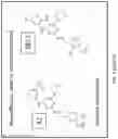 Fig. 06 - METHOD OF TREATING NEURODEGENERATIVE DISORDERS BY RESCUING ALPHA-SYNUCLEIN TOXICITY