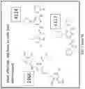 Fig. 07 - METHOD OF TREATING NEURODEGENERATIVE DISORDERS BY RESCUING ALPHA-SYNUCLEIN TOXICITY