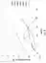 Fig. 12 - METHOD OF TREATING NEURODEGENERATIVE DISORDERS BY RESCUING ALPHA-SYNUCLEIN TOXICITY