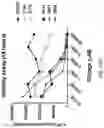 Fig. 31 - METHOD OF TREATING NEURODEGENERATIVE DISORDERS BY RESCUING ALPHA-SYNUCLEIN TOXICITY