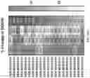 Fig. 35 - METHOD OF TREATING NEURODEGENERATIVE DISORDERS BY RESCUING ALPHA-SYNUCLEIN TOXICITY