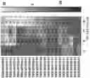 Fig. 36 - METHOD OF TREATING NEURODEGENERATIVE DISORDERS BY RESCUING ALPHA-SYNUCLEIN TOXICITY