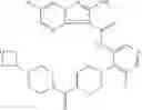 Fig. 02 - Predictive markers for ATR kinase inhibitors
