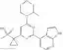 Fig. 04 - Predictive markers for ATR kinase inhibitors