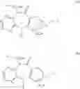 Fig. 05 - PHARMACEUTICAL COMBINATIONS OF EGFR INHIBITORS AND METHODS OF USE THEREOF