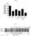 Fig. 04 - Composition for treating atopic dermatitis