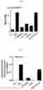 Fig. 05 - Composition for treating atopic dermatitis