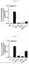 Fig. 06 - Composition for treating atopic dermatitis