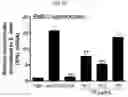 Fig. 13 - Composition for treating atopic dermatitis