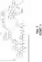 Fig. 03 - Methods of making anti-GP41 antibody-specific capture agents