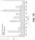 Fig. 12 - Methods of making anti-GP41 antibody-specific capture agents