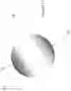 Fig. 10 - Polymeric composition exhibiting nanogradient of refractive index