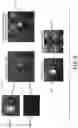 Fig. 09 - Shearography detection and classification