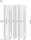 Fig. 10 - SYSTEMS AND METHODS FOR DETECTING EGRESS AT AN ENTRANCE OF A RETAIL FACILITY
