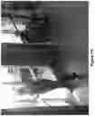Fig. 37 - Methods and systems for person detection in a video feed
