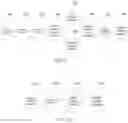 Fig. 08 - Method and device for processing images of vehicles