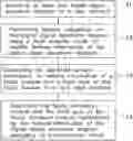 Fig. 01 - User terminal hardware detection system and method