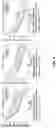 Fig. 13 - INTEGRATED NEURAL NETWORKS FOR DETERMINING PROTOCOL CONFIGURATIONS