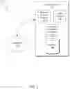 Fig. 02 - Linear modeling of quality assurance variables