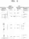 Fig. 04 - Method and apparatus with neural network parameter quantization