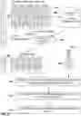 Fig. 06 - Data selection based on career transition embeddings