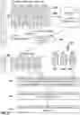 Fig. 07 - Data selection based on career transition embeddings