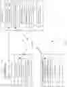 Fig. 02 - MAIL TRANSACTION VERIFICATION SYSTEM