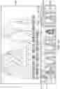 Fig. 04 - Dynamic binding of video content