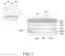 Fig. 06 - Electronic device for performing payment and operation method therefor
