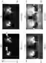 Fig. 03 - Apparatus and method to compute a high dynamic range image from a single acquisition