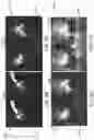 Fig. 03 - APPARATUS AND METHOD TO COMPUTE A HIGH DYNAMIC RANGE IMAGE FROM A SINGLE ACQUISITION