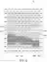 Fig. 13 - Apparatus, method, and non-transitory recording medium for a document fold determination based on the change point block detection