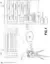 Fig. 02 - Full-field imaging learning machine (FILM)