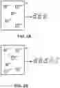 Fig. 03 - Detecting defects in a semiconductor specimen