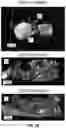Fig. 07 - Cellular analysis
