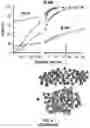 Fig. 10 - Cellular analysis