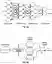 Fig. 11 - Cellular analysis