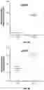 Fig. 14 - Cellular analysis